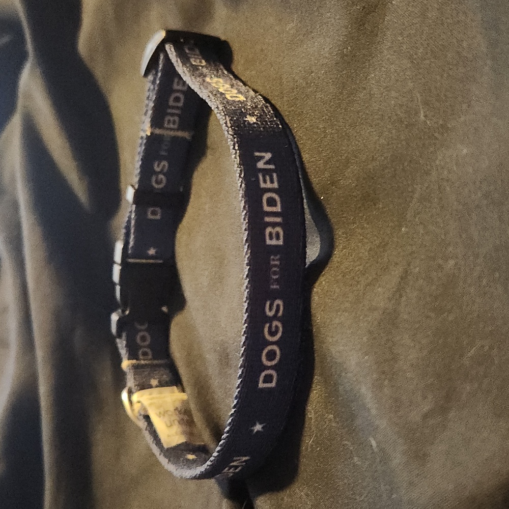 Dogs for Biden dog collar size medium